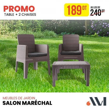 SALON DE JARDIN MARECHAL 2 PLACES